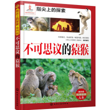 ����˼�h��Գ��