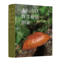 ̫��ɽ�^(q��)Ұ��Ģ���D�b����һ����