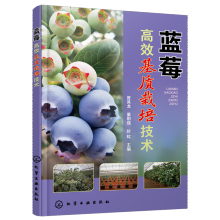 �{(l��n)ݮ��Ч���|(zh��)���༼�g(sh��)