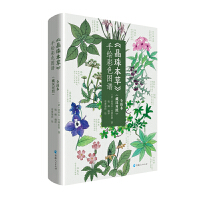 �����鱾�ݡ����L��ɫ�D�V