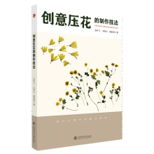  ��(chu��ng)�≺������������