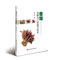 �㴻���r�ӹ�ԭ���c���g(sh��)