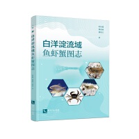 ����������~(y��)�rз�D־