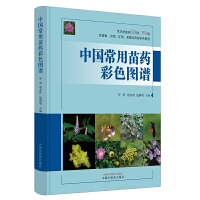 �Ї�������ˎ��ɫ�D�V