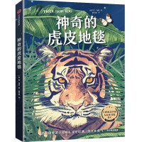 ����Ļ�Ƥ��̺