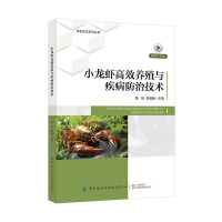 С���r��Ч�B(y��ng)ֳ�c�������μ��g