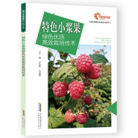 ��ɫС�{���Gɫ��(y��u)�|(zh��)��Ч���༼�g(sh��)