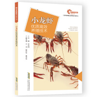 С���r��(y��u)�|��Ч�B(y��ng)ֳ���g