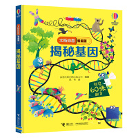 ���ػ���