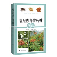 �����嶾��ˎ�ĈD�V