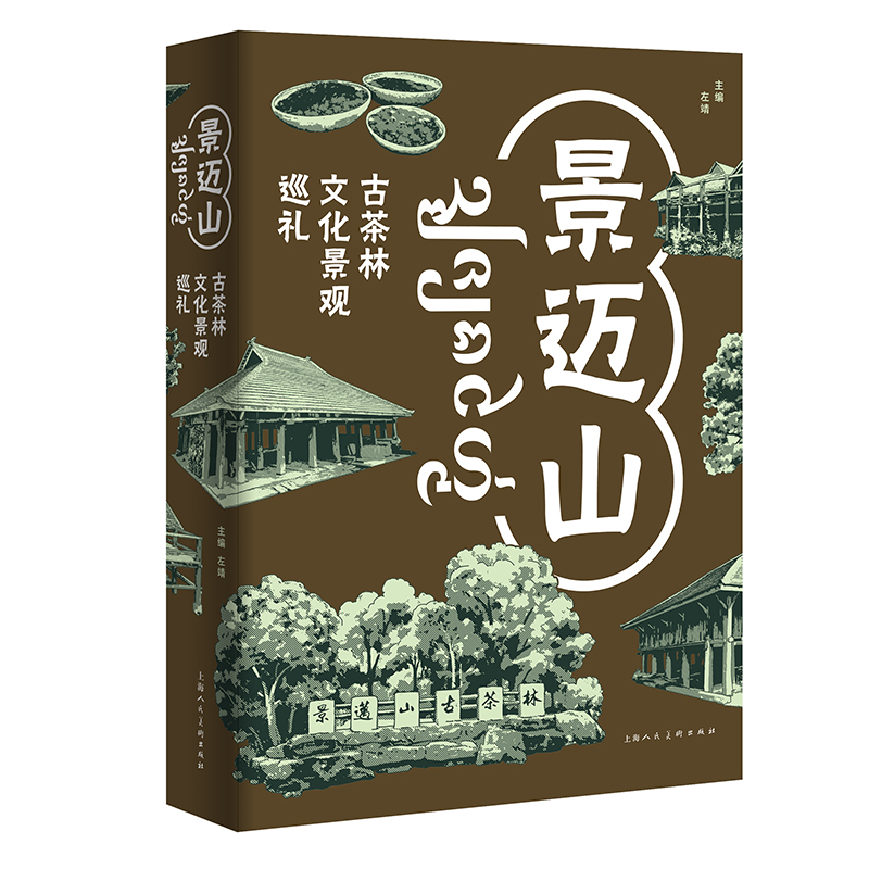 ���~ɽ���Ų����Ļ����^Ѳ�Y