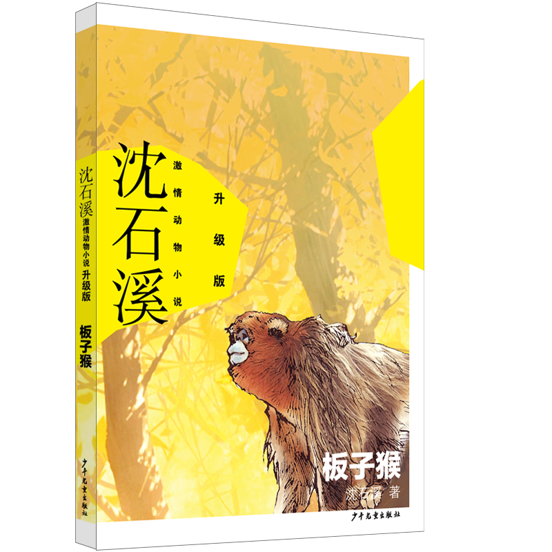 ��ʯϪ�������С�f������ ���Ӻ�