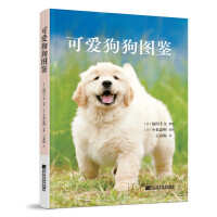 �ɐ۹����D�b