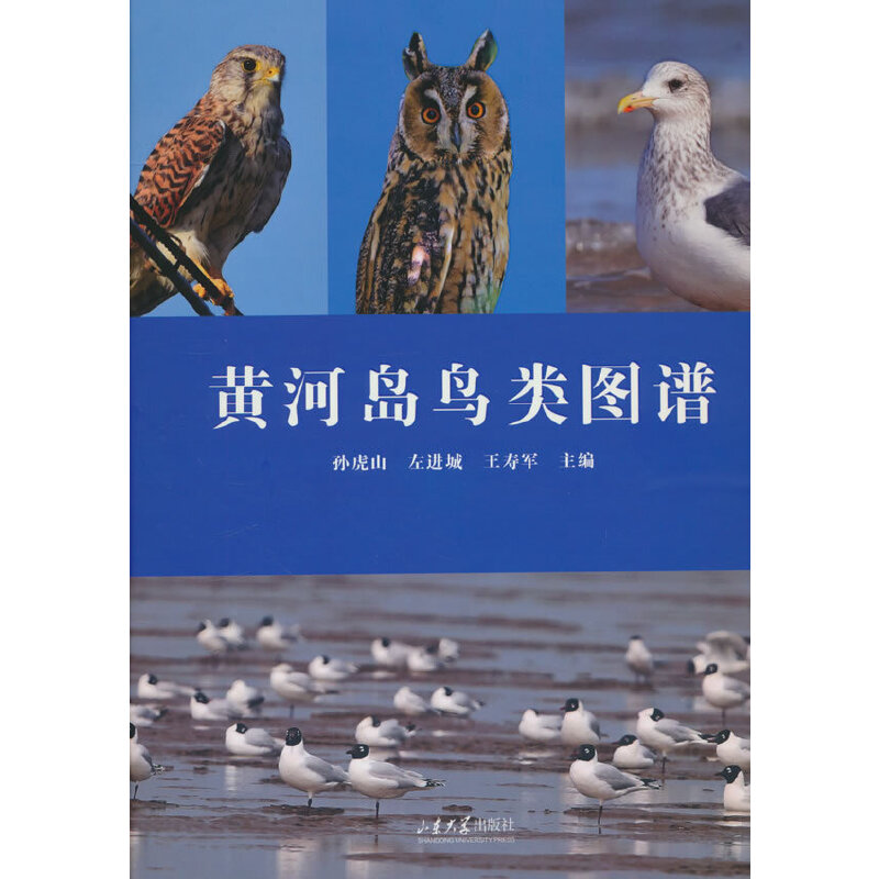 �S�Ӎu�B(ni��o)D�V