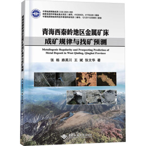 �ຣʡ�؎X���ν����ٵV�a(ch��n)�ɵVҎ(gu��)���c�ҵV�A�y