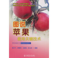 �D�f�O�������P(gu��n)�I���g(sh��)