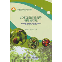 �t����(y��u)�|(zh��)��Ч����͹��@����