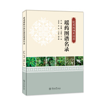  �B�Ϭ������οh��ˎ�D�V���