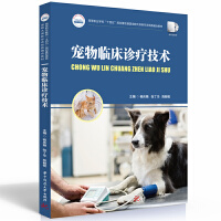 �����R���\�����g(sh��)