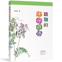 ֲ����������E