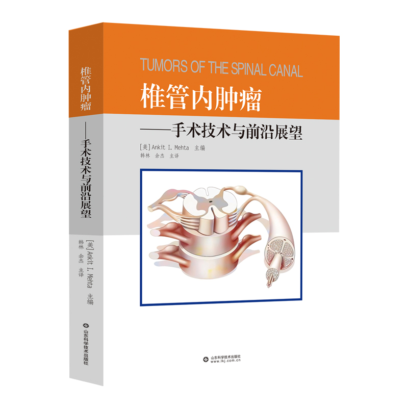 ׵�܃�(n��i)�[���������g(sh��)���g(sh��)�cǰ��չ��