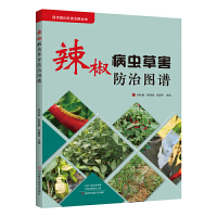 �������x(ch��ng)�ݺ����ΈD�V