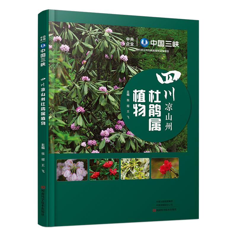 �Ĵ���ɽ�ݶ��N��ֲ��