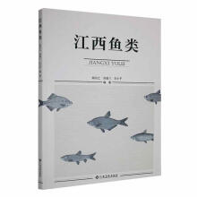 �����~(y��)�