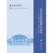 �Ϻ������M����Դ��ȫ�о�