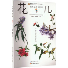 ����߅����Ȼ�n