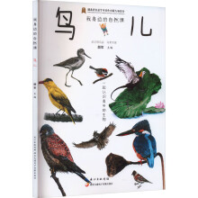 ����߅����Ȼ�n