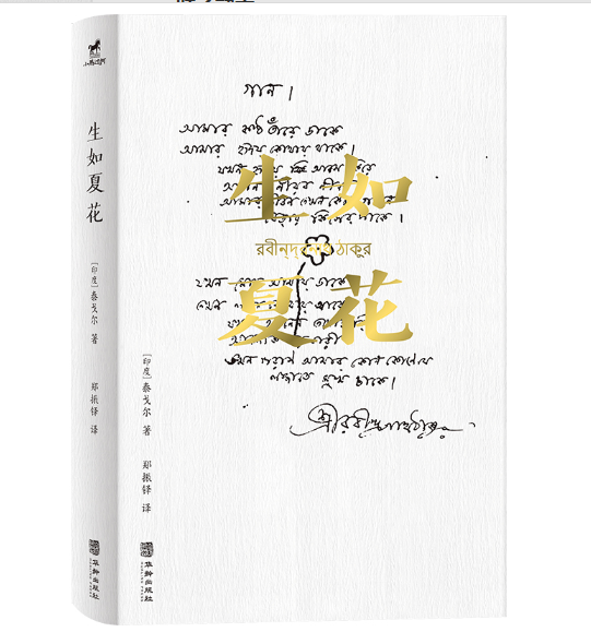 �����Ļ�