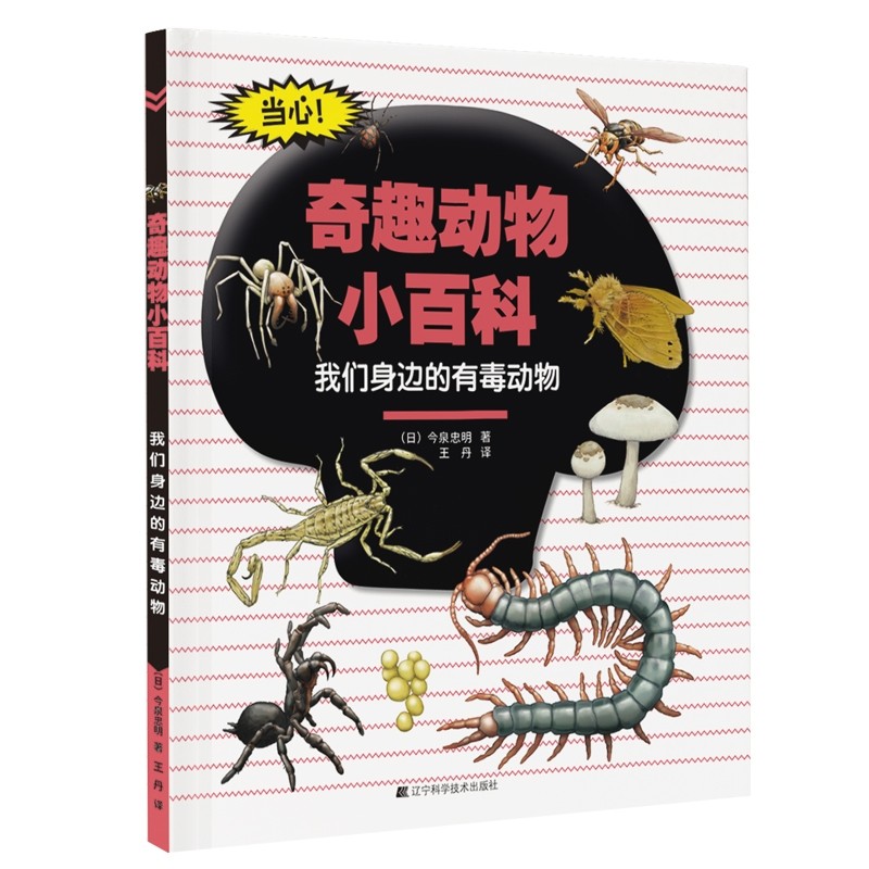 �҂���߅���ж�����