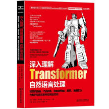  ��������Transformer��Ȼ�Z��̎��ʹ��PthonPvTorch TensorFlow B