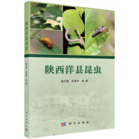 �����h���x