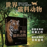 ����؈�Ƅ���