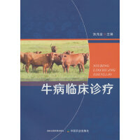 ţ���R���\��