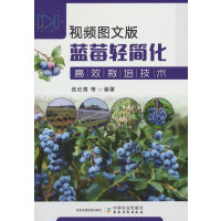 ҕ�l�D�İ��{(l��n)ݮ�p������Ч���༼�g(sh��)