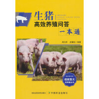 ���i��Ч�B(y��ng)ֳ����һ��ͨ