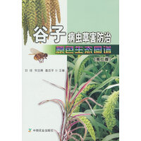 ���Ӳ��x(ch��ng)�ݺ�����ԭɫ���B(t��i)�D�V