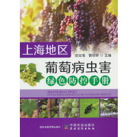 �Ϻ��؅^(q��)���Ѳ��x(ch��ng)���Gɫ�����փ�(c��)