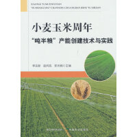 С���������ꡰ����Z���a�܄�(chu��ng)�����g�c���`