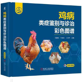  �u��Y�b�e�c�\�β�ɫ�D�V ������ ţ�w�| ���c�A