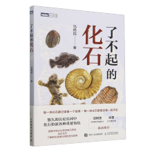 �˲���Ļ�ʯ