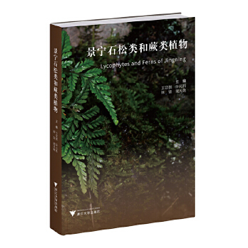  ����ʯ���ާ�ֲ��