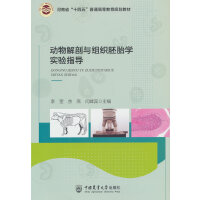 ��(d��ng)������c�M����̥�W(xu��)��(sh��)�(y��n)ָ��(d��o)