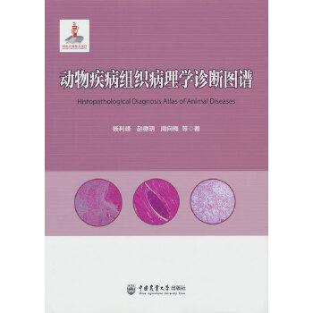  ���Ｒ���M������W(xu��)�\���D�V