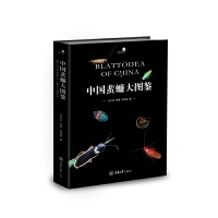 �Ї�����D�b