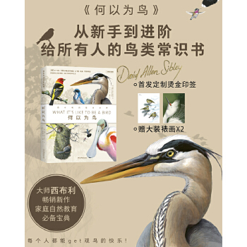  ���Ԟ��B�����������B�����