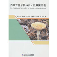 ��(n��i)�ɹ��������փ�(n��i)��������D�V